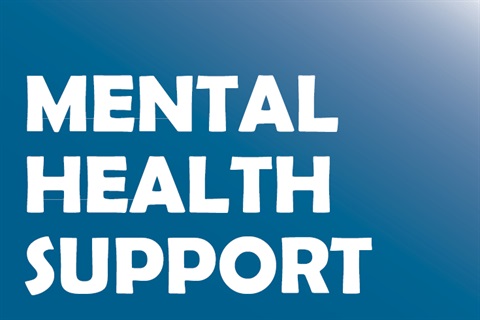 Mental-Health-Support-Web-Pic.jpg