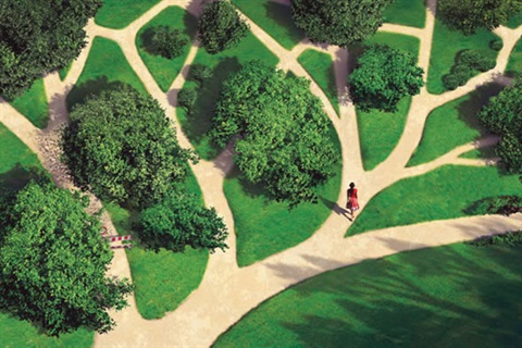 Pathways-web-pic.jpg