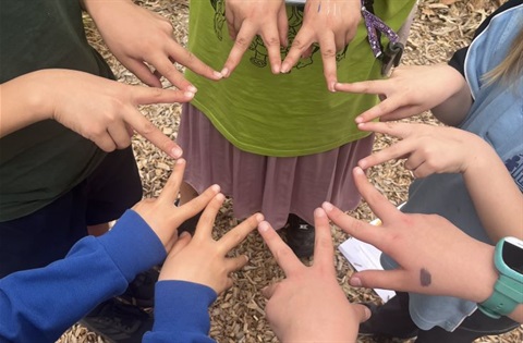 MYzone web pic resized.jpg